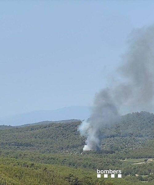 Un incendio forestal obliga a confinar varias urbanizaciones de Masllorenç (Tarragona)