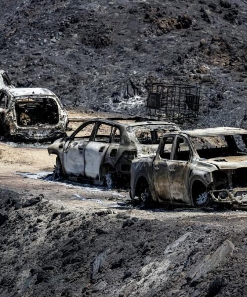 Los familiares de ocho víctimas del incendio de Los Gallardos se personan como acusación particular en la investigación judicial