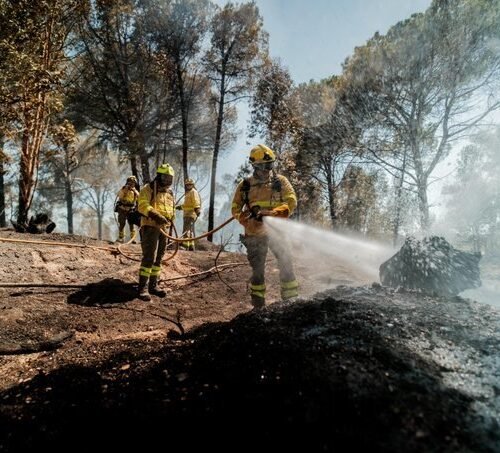 El incendio de Niebla devuelve a Berrocal (Huelva) a la pesadilla de 2004: «Somos un pueblo muerto, como nuestra tierra»