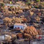 Berrocal se juega la supervivencia tras un fuego que ha arrasado el 90% de sus bosques: «Hay que volver a sembrar, por los que vienen detrás»