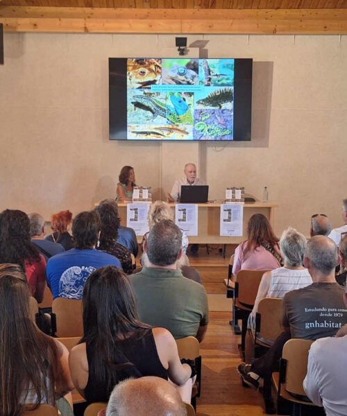 A Xunta presenta unha guía pioneira sobre os anfibios e réptiles do Parque Natural de Corrubedo