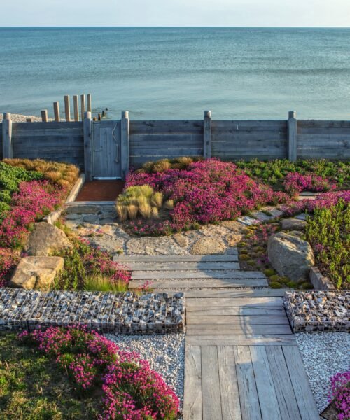 Instrucciones para plantar un jardín junto al mar