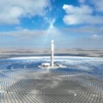 La lección China: la complicada solución para el conflicto entre las plantas solares y las aves