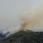 Un detenido por su presunta relación con el incendio de Collserola