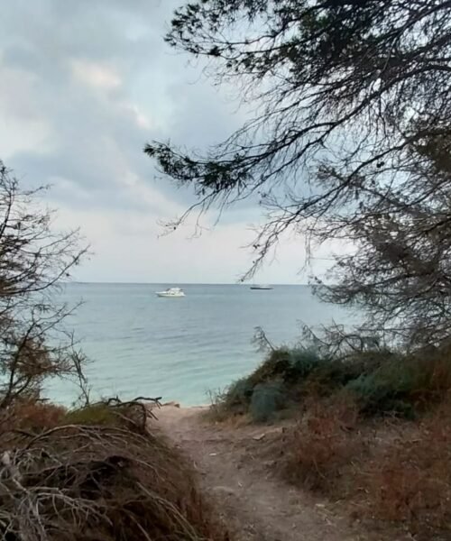 Lestrigones, feacios y sirenas de Formentera