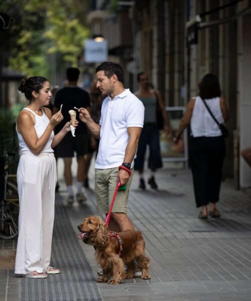 Veranos más calurosos, helados más caros: cómo la inflación ha impactado en el cucurucho