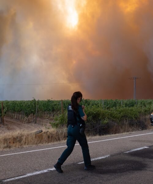 ¿Qué Estado queremos cuando todo arde?