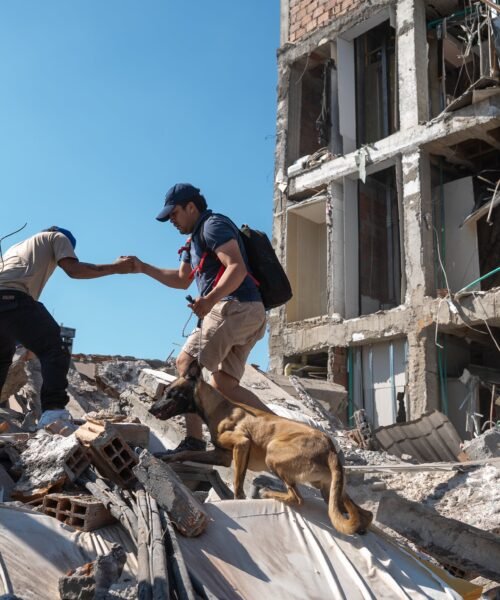 Estados Unidos y México tienden la mano a Colombia y ofrecen enviar ayuda tras el terremoto