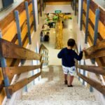 Los conciertos educativos en pleno invierno demográfico: cuando la excepción se convierte en la regla