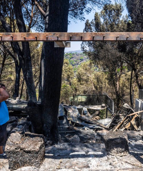 La cicatriz negra: viaje al paisaje después del fuego