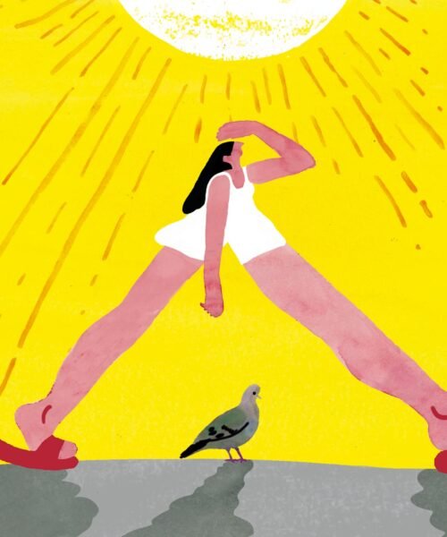 Vivir el verano como las palomas: sin pedir permiso y sin pagar