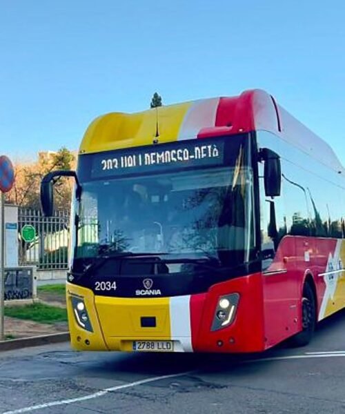 Muere un turista en Valldemossa al caerle una farola derribada por un autobús