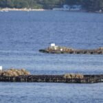 Turismo da Pobra anima a gozar das últimas experiencias do verán con viaxes en veleiro, a Ruta do Mexillón e excursións ás Illas Atlánticas