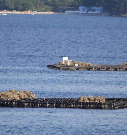 Turismo da Pobra anima a gozar das últimas experiencias do verán con viaxes en veleiro, a Ruta do Mexillón e excursións ás Illas Atlánticas