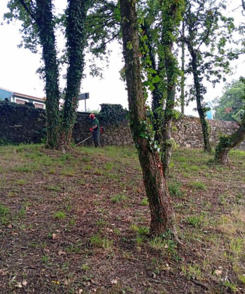 O alumnado de forestal do Obradoiro de Emprego Torre Goiáns V comeza os traballos prácticos