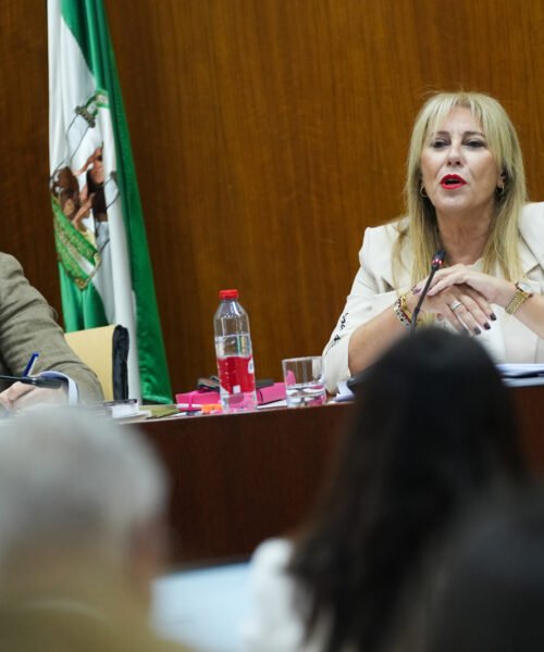 El Gobierno andaluz introducirá nuevas rebajas de impuestos a la vivienda en los presupuestos de 2027