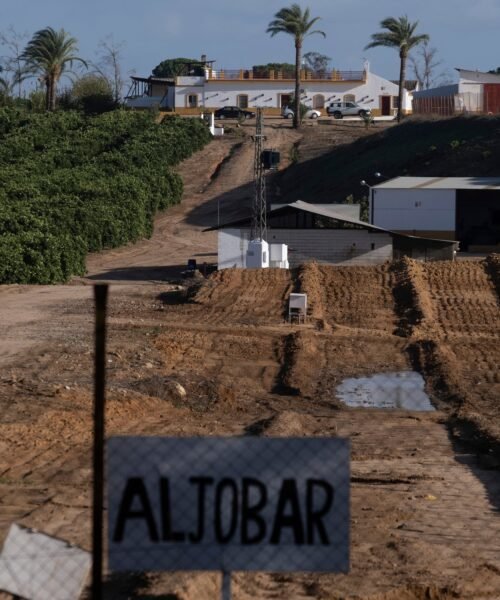 El juez archiva la causa de los pozos de la Casa de Alba junto a Doñana