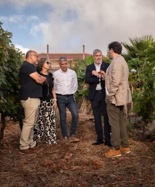 Canarias apuesta por el enoturismo para impulsar el vino y diferenciar su oferta turística