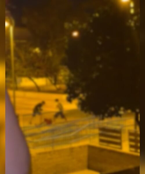 Dos jóvenes detenidos en Mairena del Aljarafe por apalear brutalmente a un indigente al que dejaron inconsciente