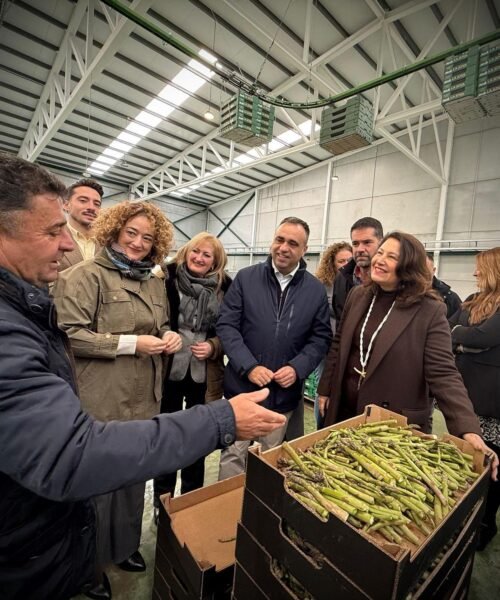 Feijóo mete manos en las listas del PP-A al 29N y coloca a alcaldesas y a la eurodiputada Carmen Crespo junto a Bendodo y Bravo