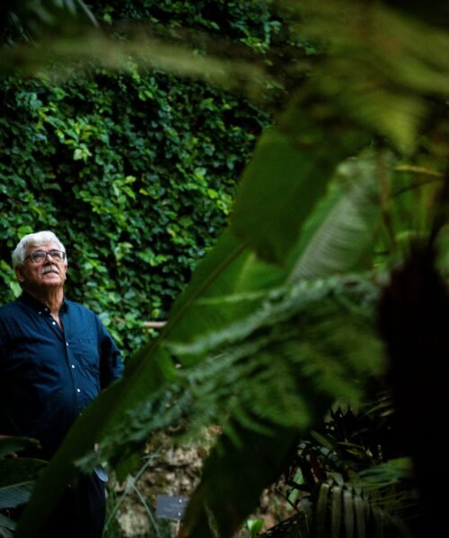 El botánico que ha tardado 30 años en poner nombre a 18 árboles: “Es una carrera contra mí mismo”
