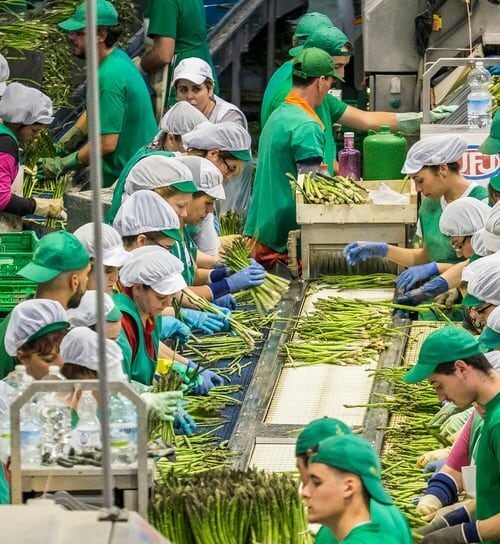 Los países europeos se preparan para el impacto de la inflación en sus salarios mínimos