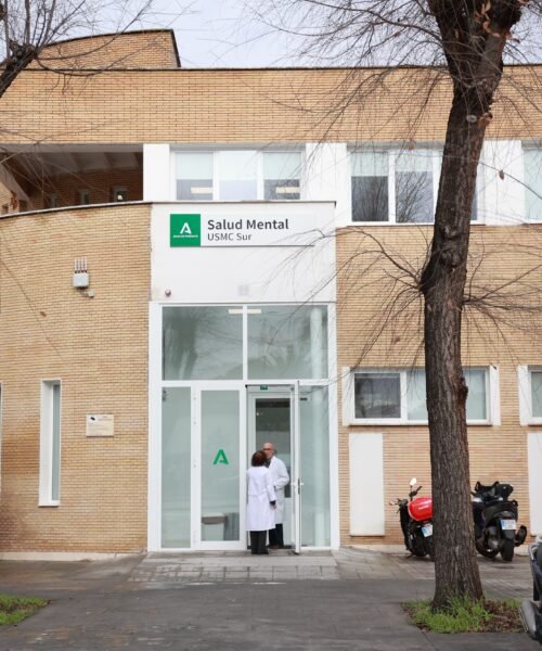 Sanidad despeja ‘in extremis’ el temor de los psiquiatras ante la nueva ley de internamientos forzosos para enfermos de salud mental