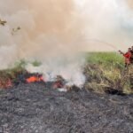 ‘El Niño’: no basta con verlo venir