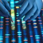 Europa intenta blindar frente a Estados Unidos las bases de datos esenciales para la investigación biomédica mundial