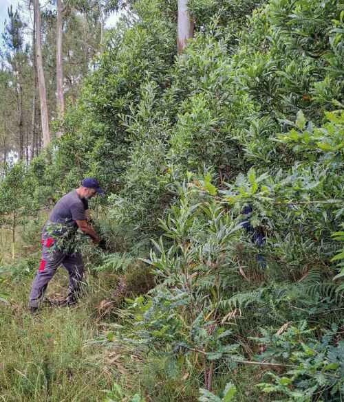 O Laboratorio Ecosocial do Barbanza é finalista dos premios Europa se Siente polo traballo na transición ecolóxica